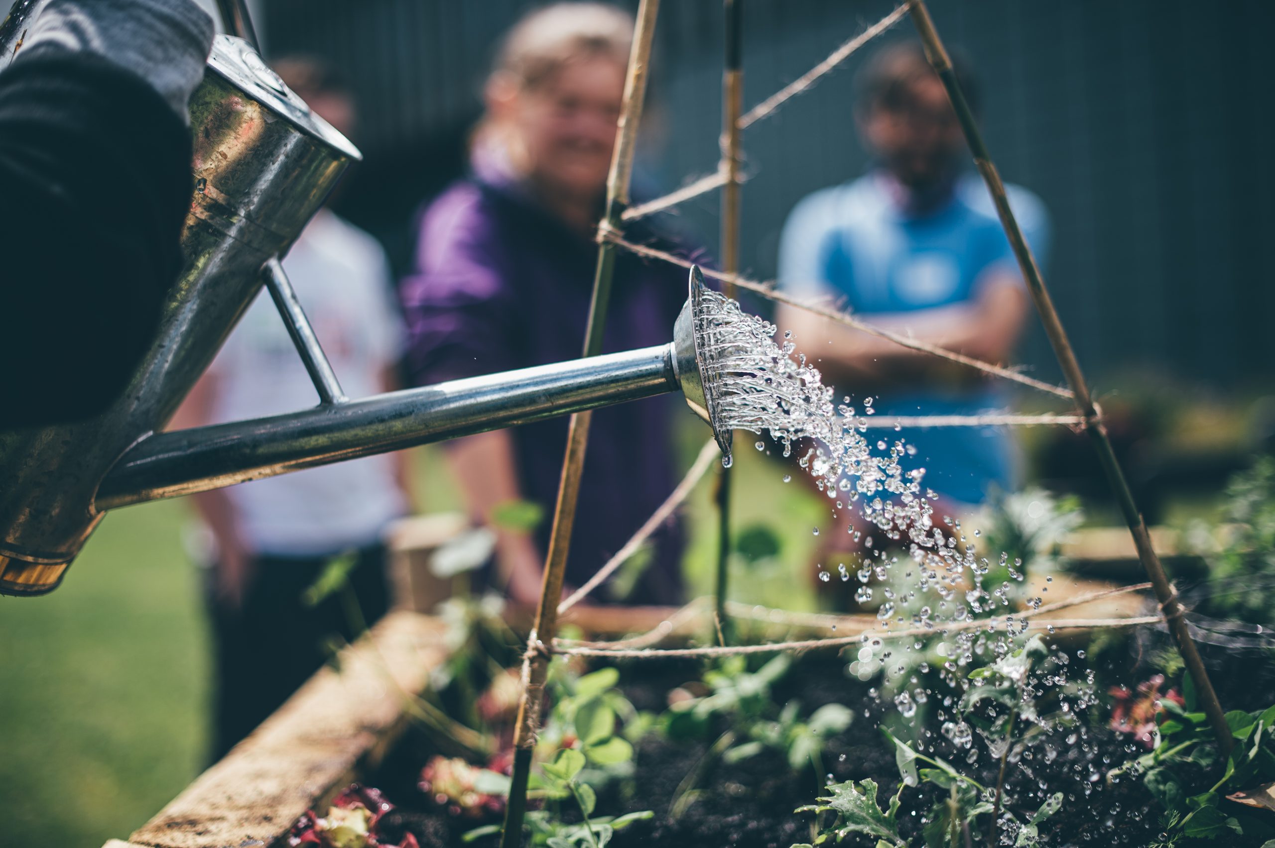 Watering the veg patch