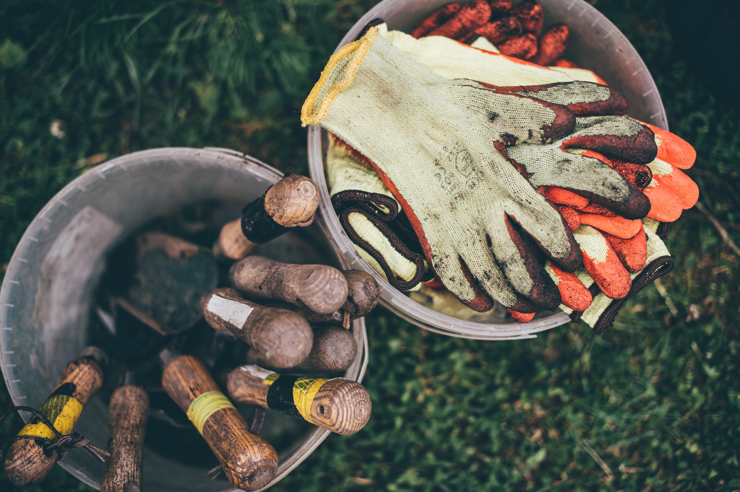 trowels and gloves