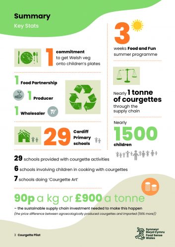 Infographic explaining courgette pilot