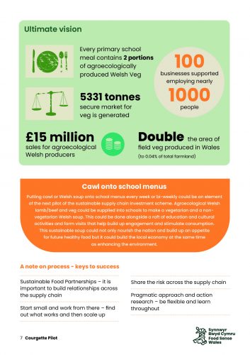 Infographic of vision following on from the courgette pilot