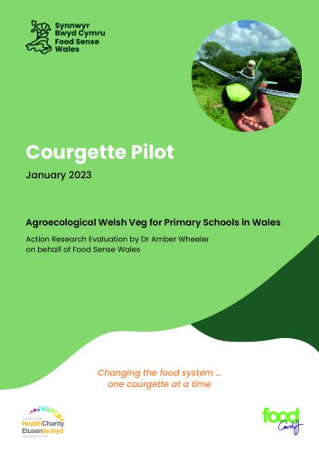 Courgette pilot - cover page