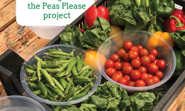 Peas Please Veg Voice Report 2023 Report Cover