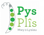 Logo Pys Plîs