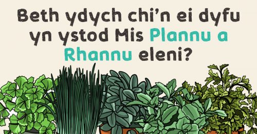 Plannu a Rhannu