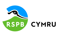 RSPB Cymru
